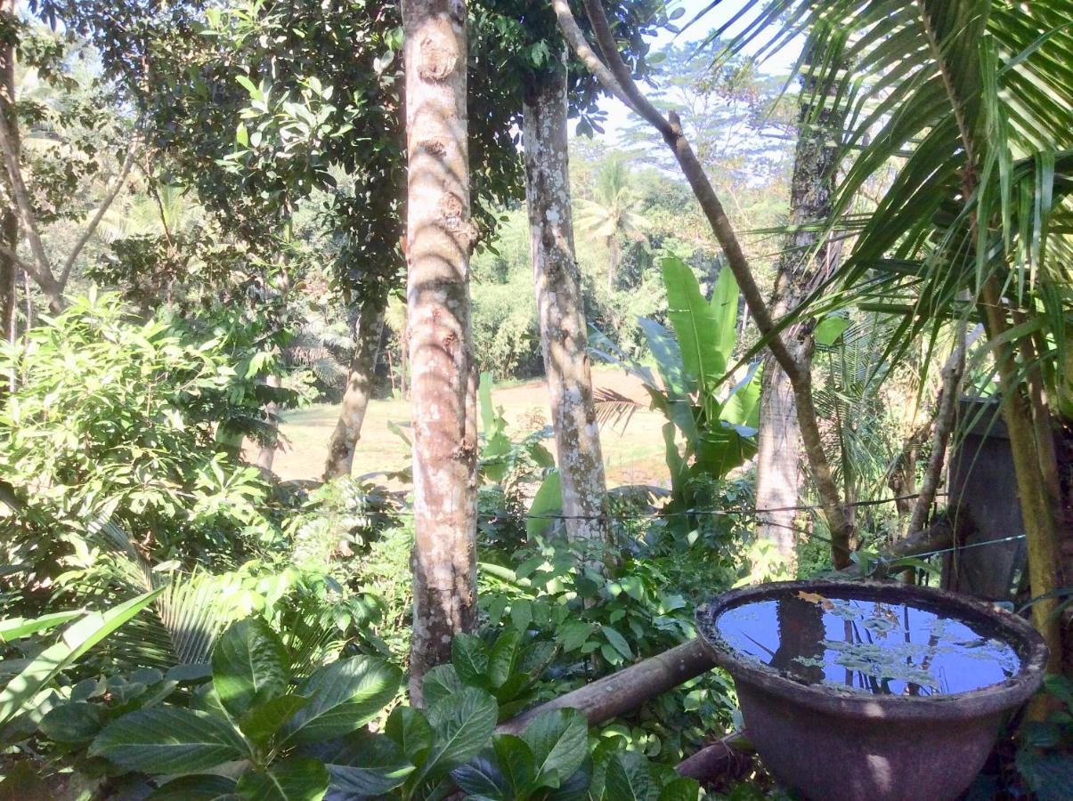 Rumah Irak Et Kadek Bali Ubud  Ngoại thất bức ảnh