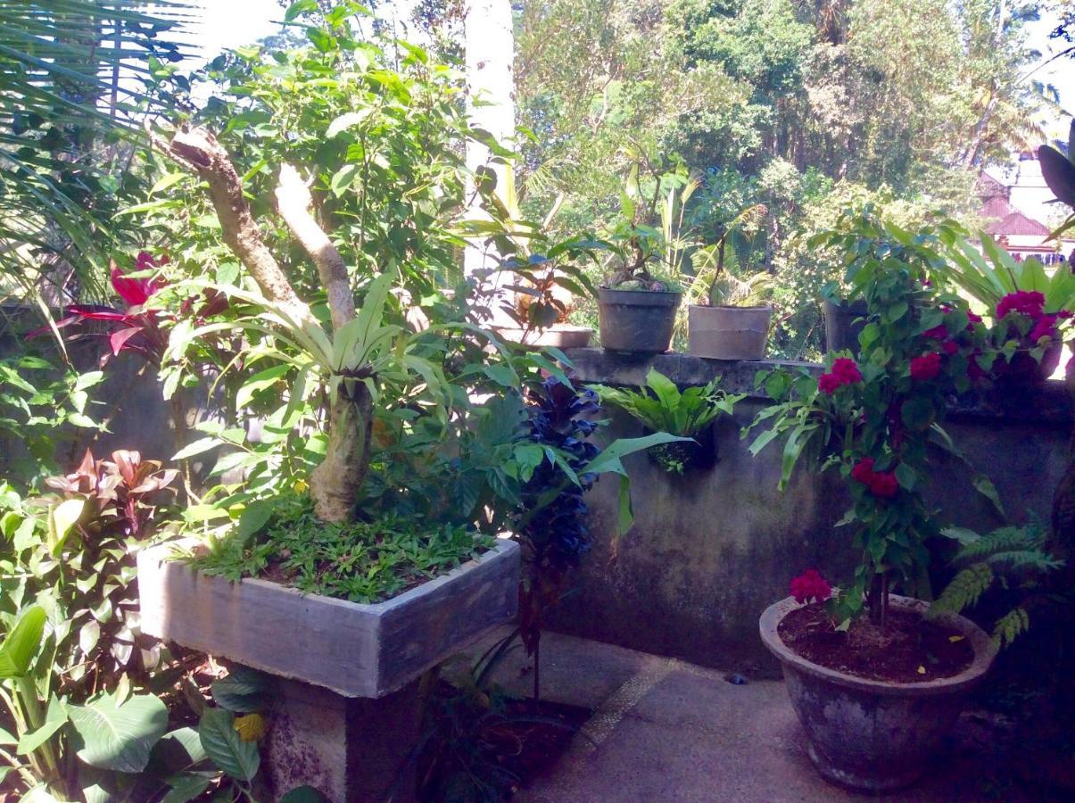 Rumah Irak Et Kadek Bali Ubud  Ngoại thất bức ảnh