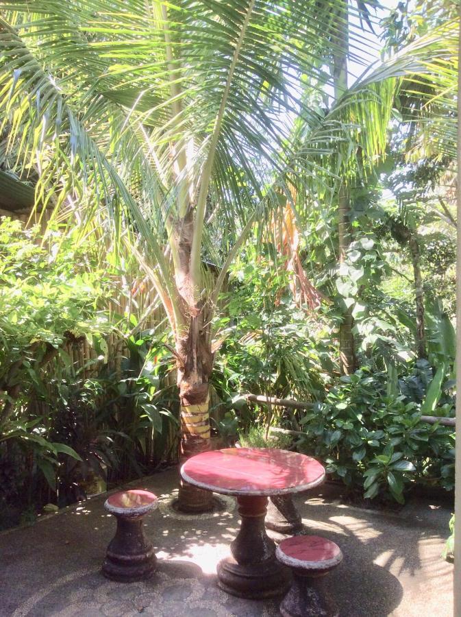 Rumah Irak Et Kadek Bali Ubud  Ngoại thất bức ảnh